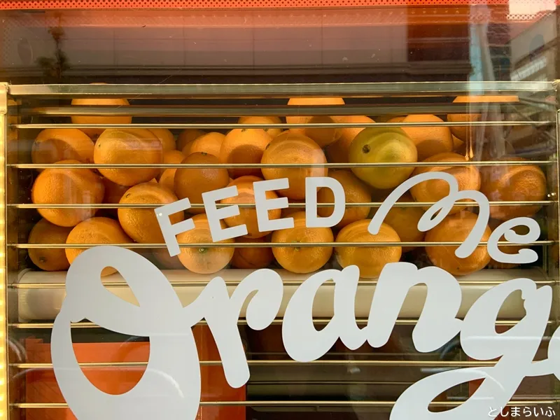 Feed Me Orange フィードミ―オレンジ オレンジのストック