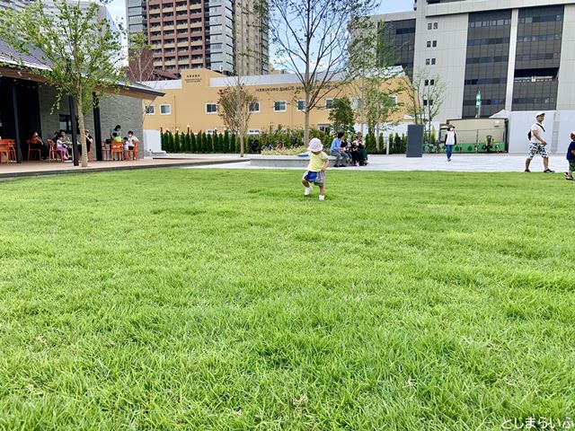 イケサンパーク 芝生で遊ぶ子供
