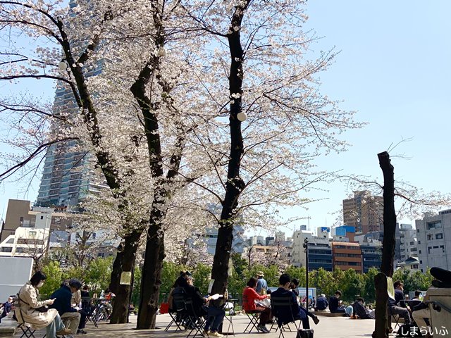 南池袋公園 サクラテラスの桜