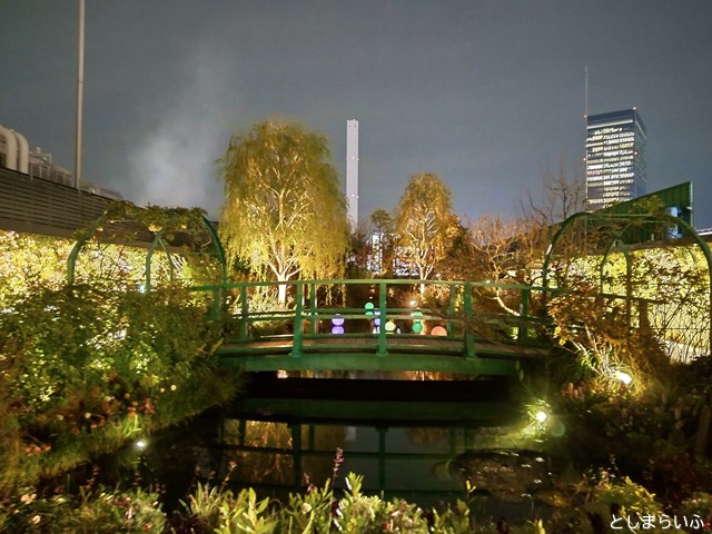 食と緑の空中庭園 睡蓮の池のまわりの夜景